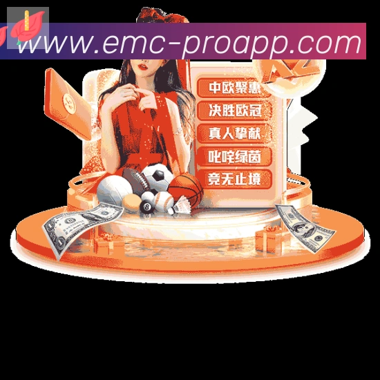 EMC易倍体育荣誉